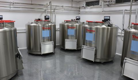 Tanques Nitrogenio Liquido Biobanco site